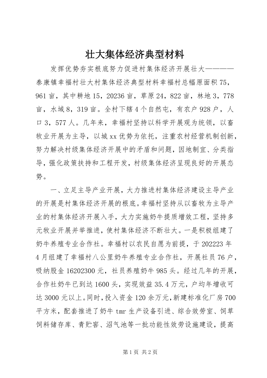 2023年壮大集体经济典型材料.docx_第1页