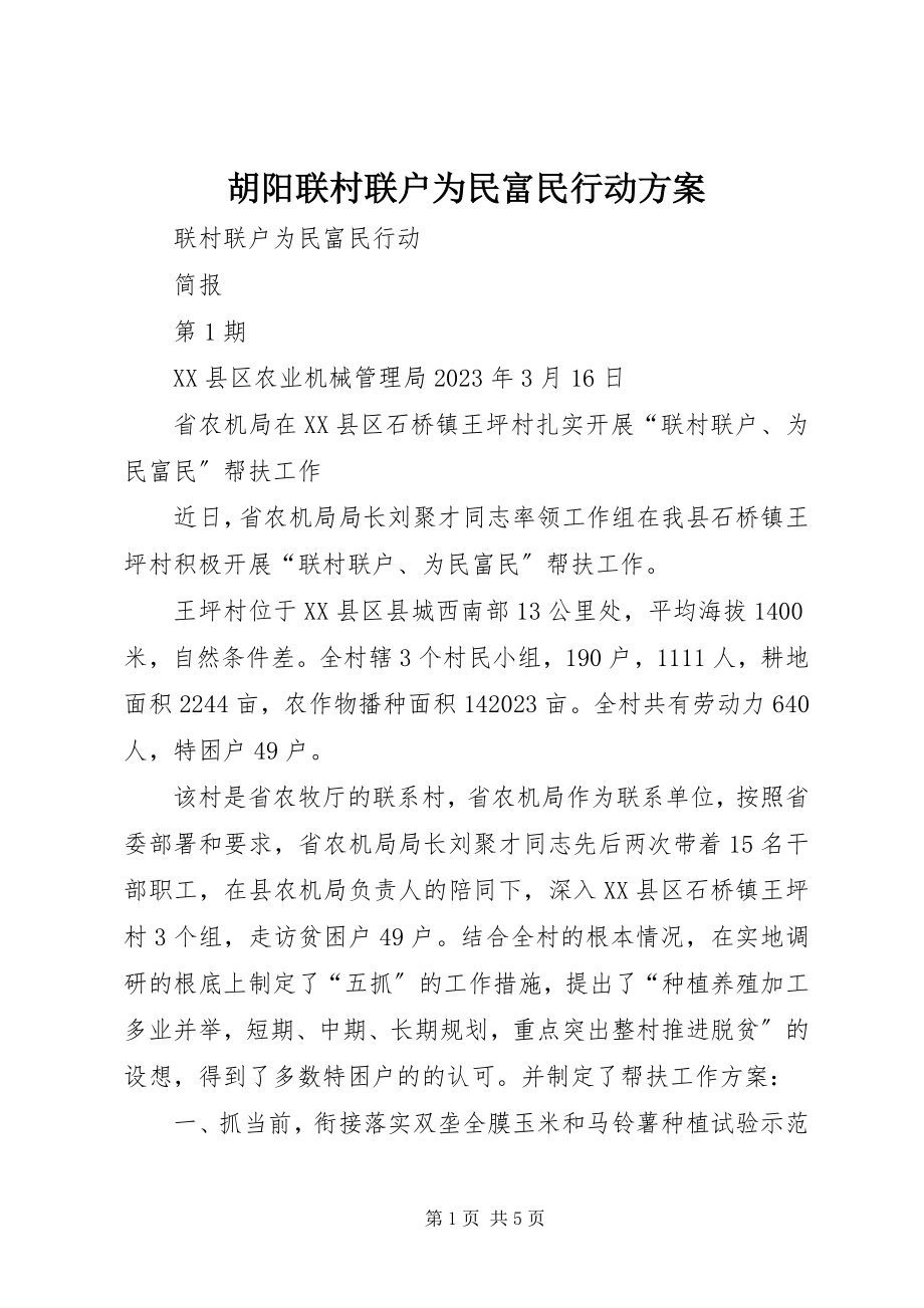 2023年胡阳联村联户为民富民行动计划.docx_第1页