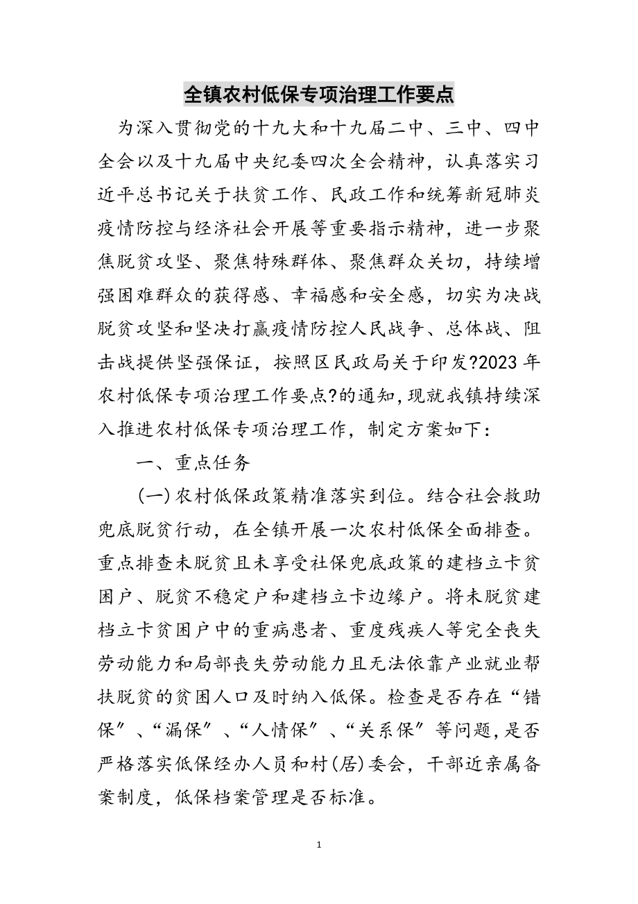 2023年全镇农村低保专项治理工作要点范文.doc_第1页