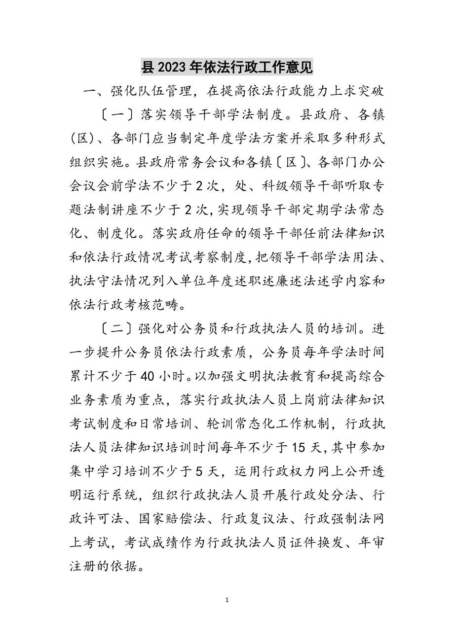 2023年县年依法行政工作意见范文.doc_第1页