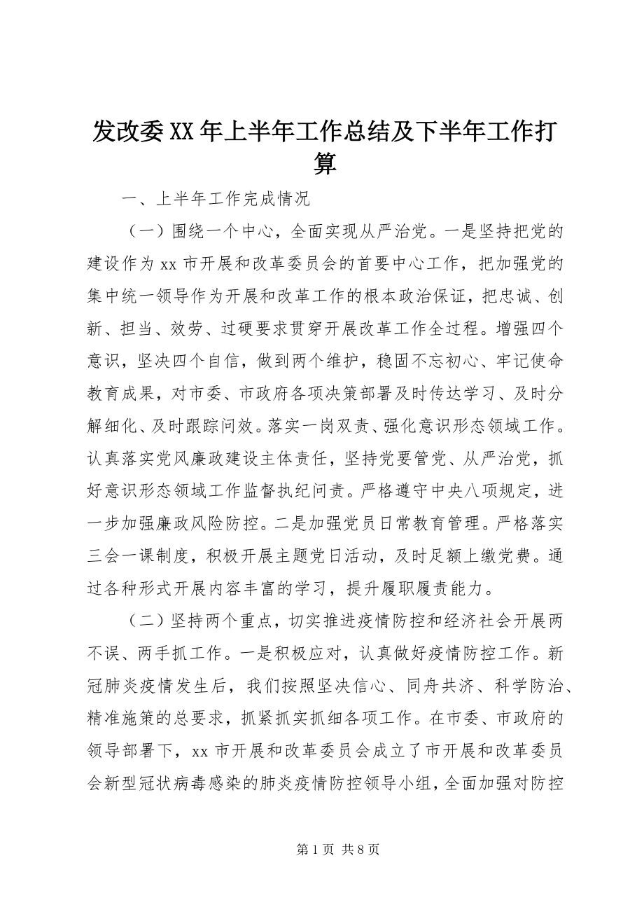 2023年发改委某年上半年工作总结及下半年工作打算.docx_第1页