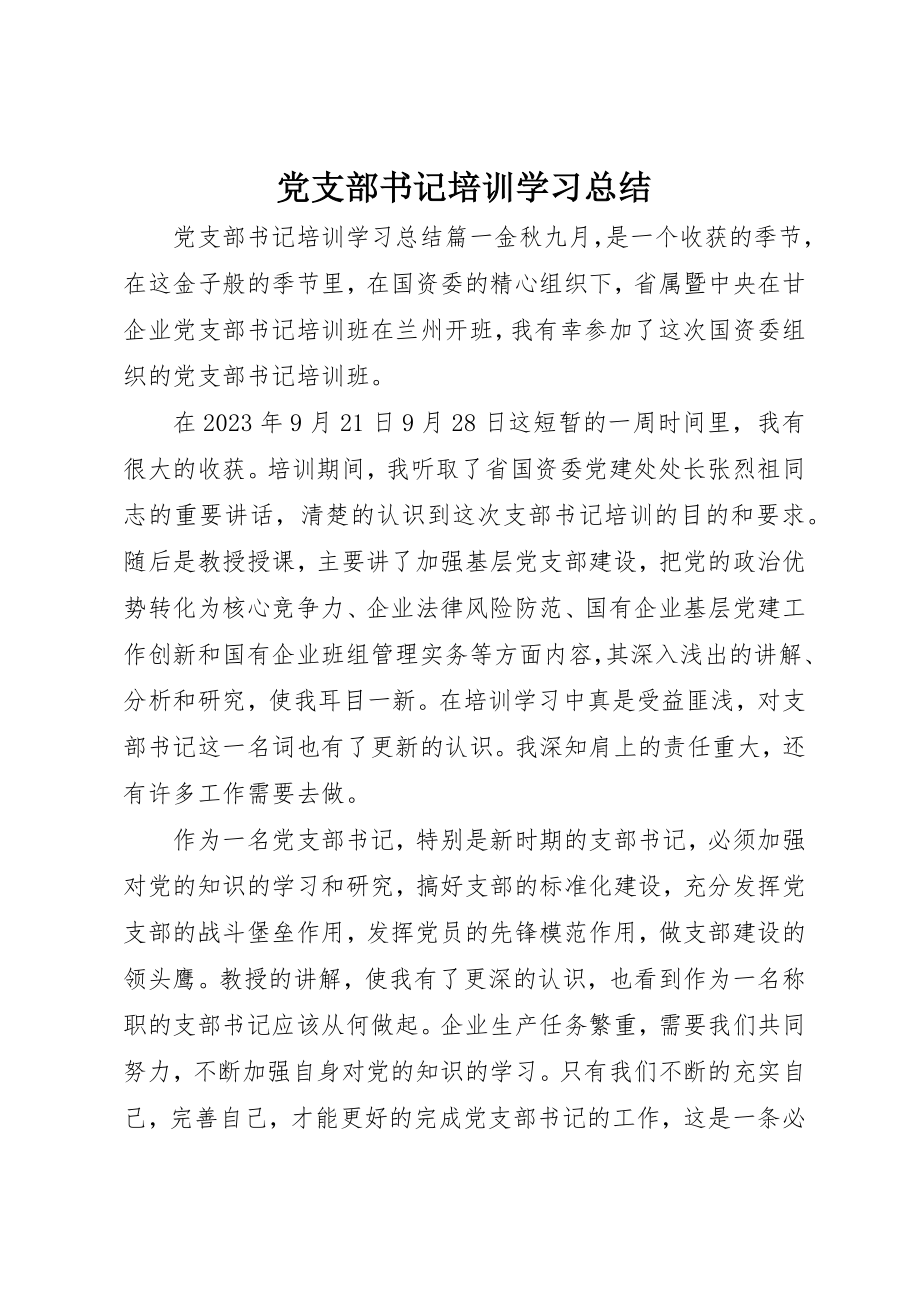 2023年党支部书记培训学习总结.docx_第1页