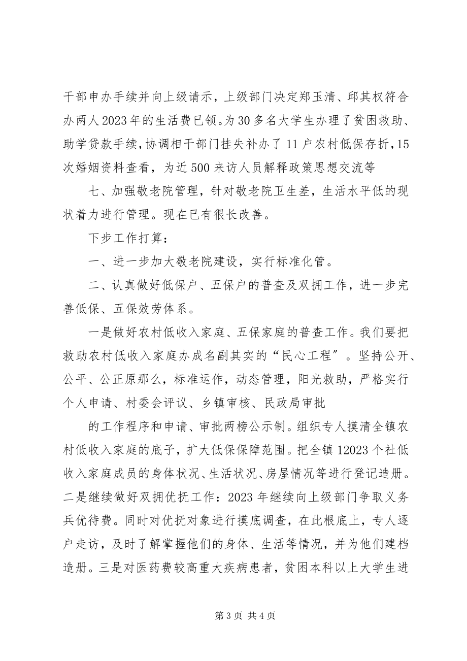 2023年民政所工作总结.docx_第3页