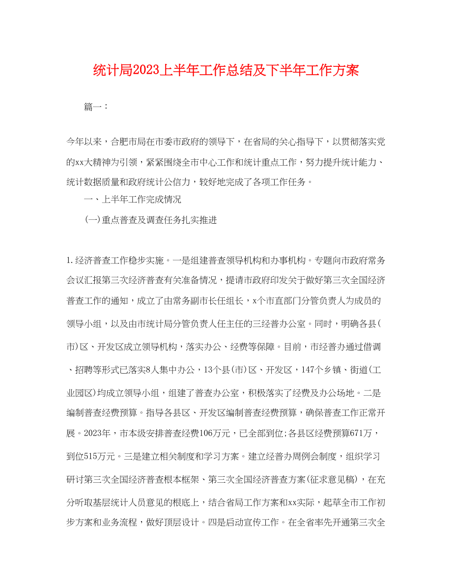 2023年统计局上半工作总结及下半工作计划.docx_第1页