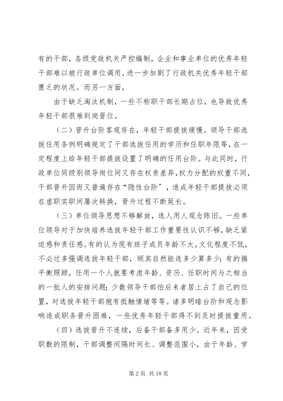 2023年轻干部选拔培养工作的实践与思考.docx_第2页