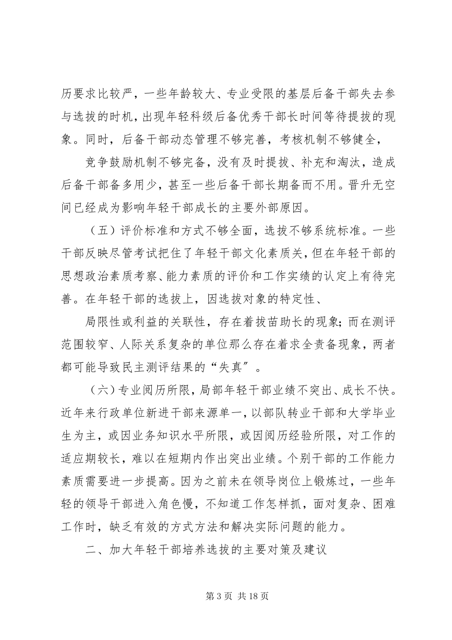 2023年轻干部选拔培养工作的实践与思考.docx_第3页