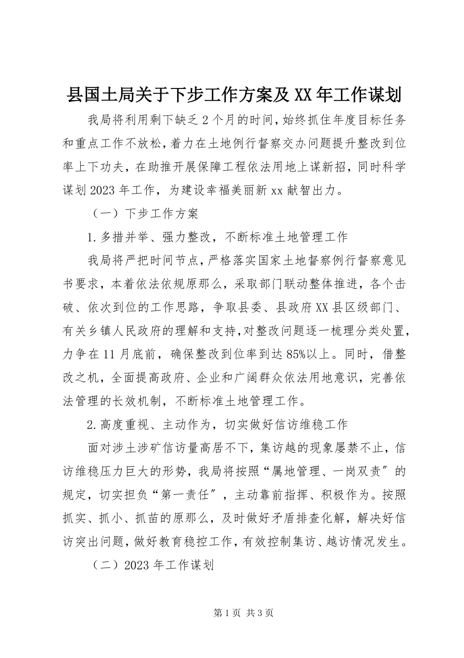 2023年县国土局关于下步工作计划及工作谋划.docx_第1页