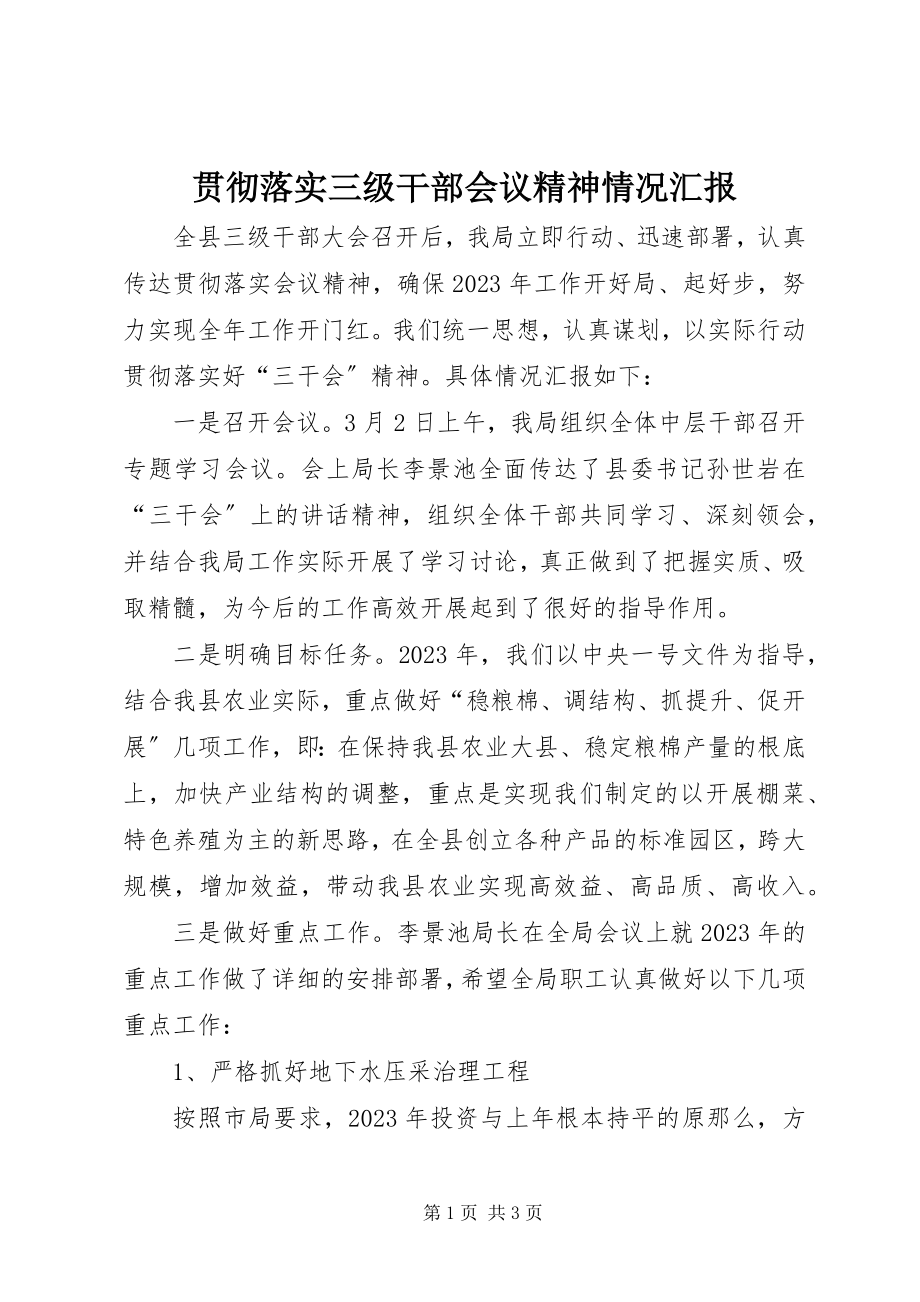 2023年贯彻落实三级干部会议精神情况汇报.docx_第1页