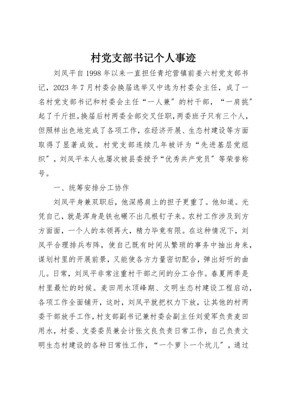 2023年村党支部书记个人事迹新编.docx_第1页