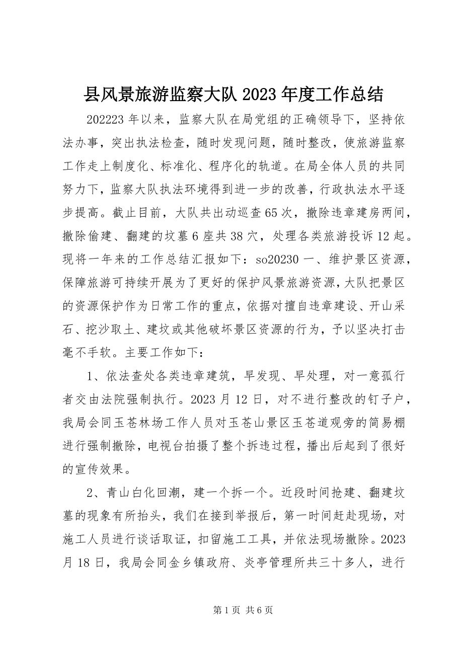 2023年县风景旅游监察大队度工作总结3.docx_第1页