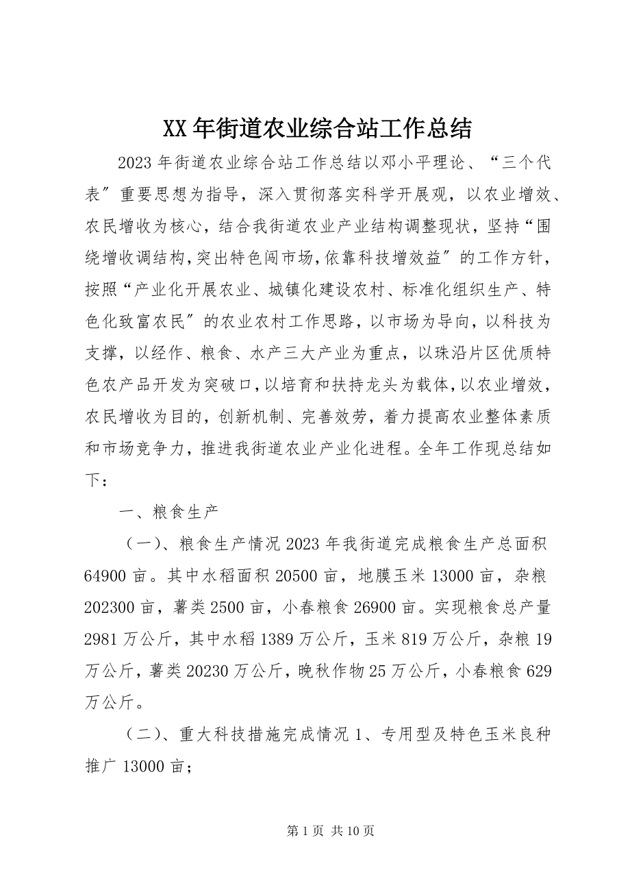 2023年街道农业综合站工作总结.docx_第1页