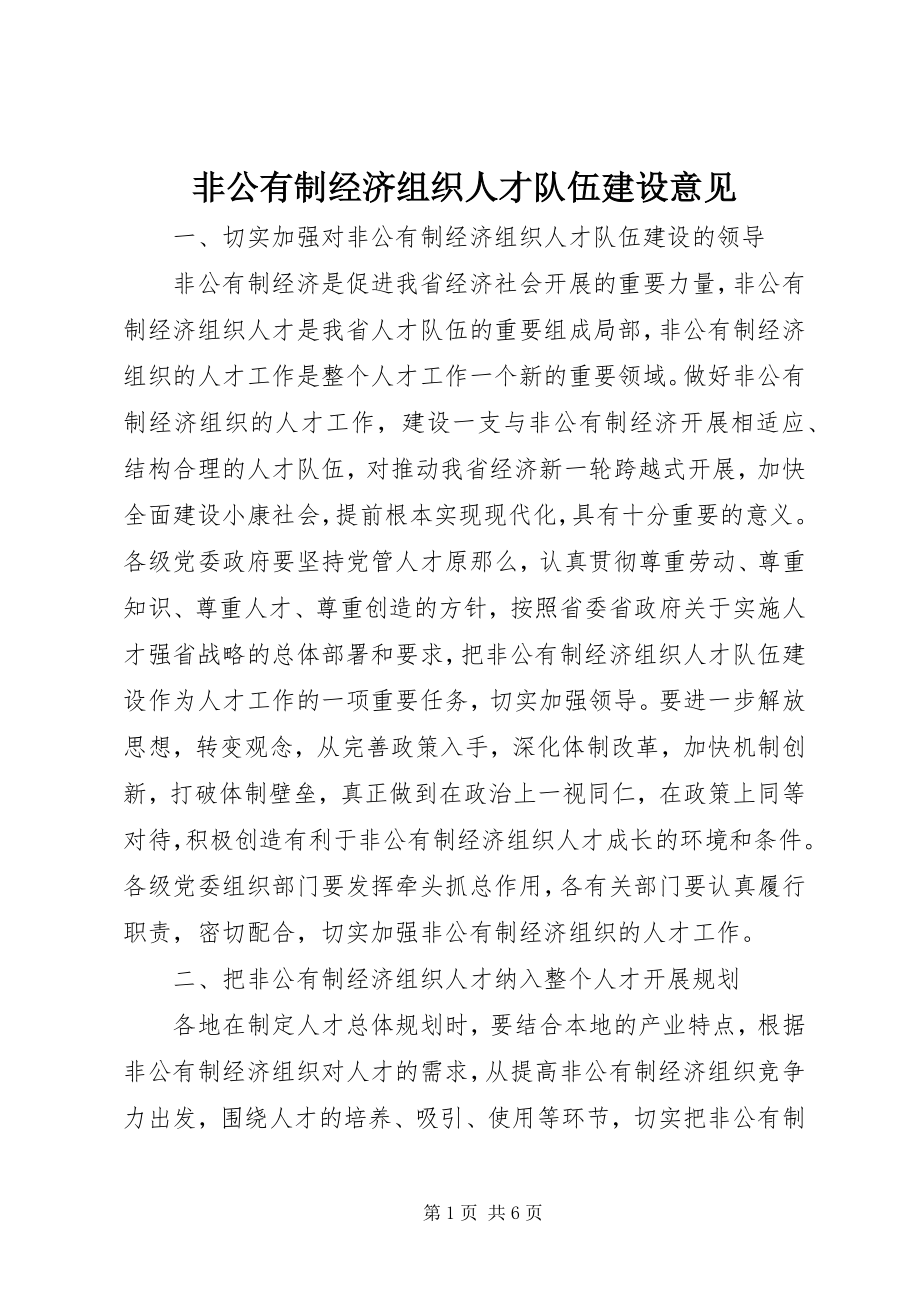 2023年非公有制经济组织人才队伍建设意见.docx_第1页