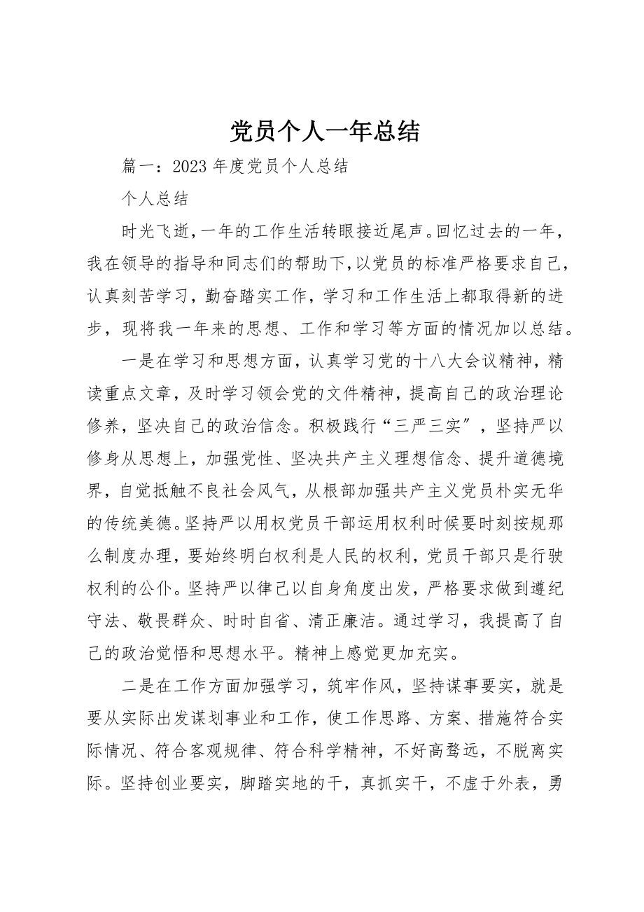 2023年党员个人一年总结.docx_第1页