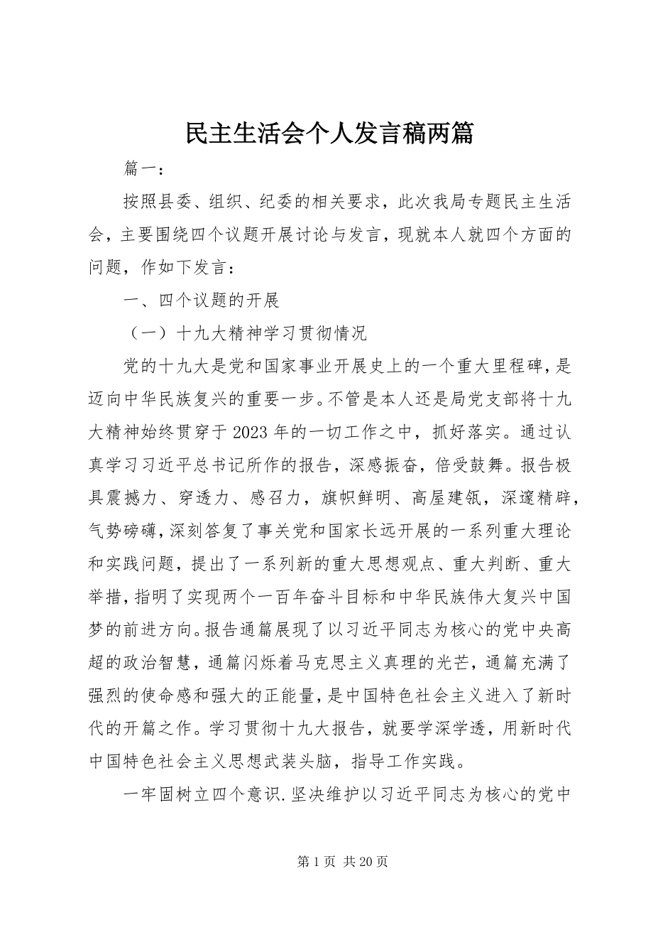 2023年民主生活会个人讲话稿两篇.docx_第1页