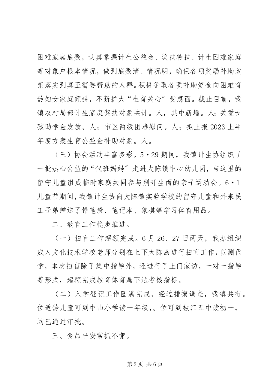 2023年社会事务管理办公室半年度工作总结及下半年度工作计划.docx_第2页