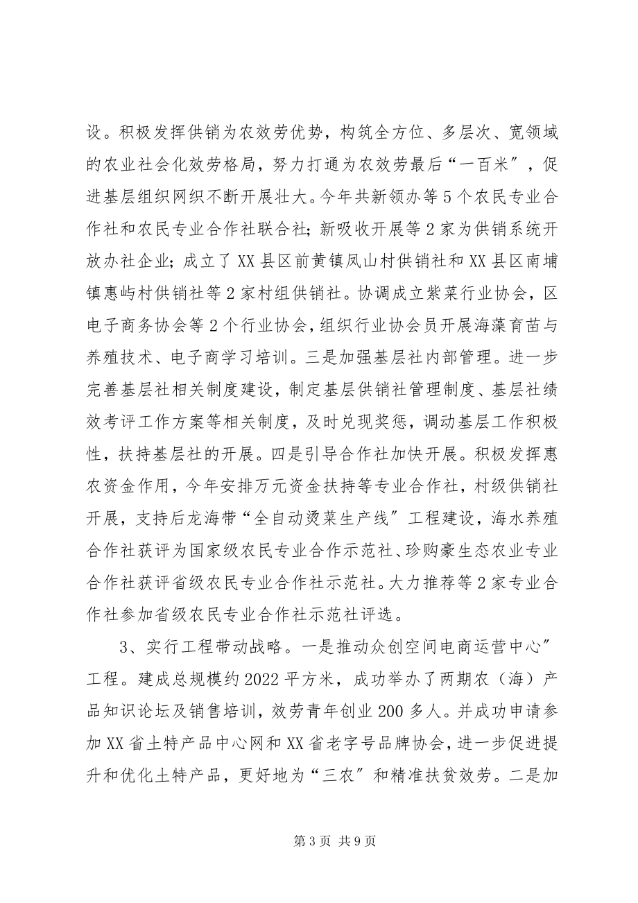 2023年供销合作社联合社工作总结和某年工作计划.docx_第3页