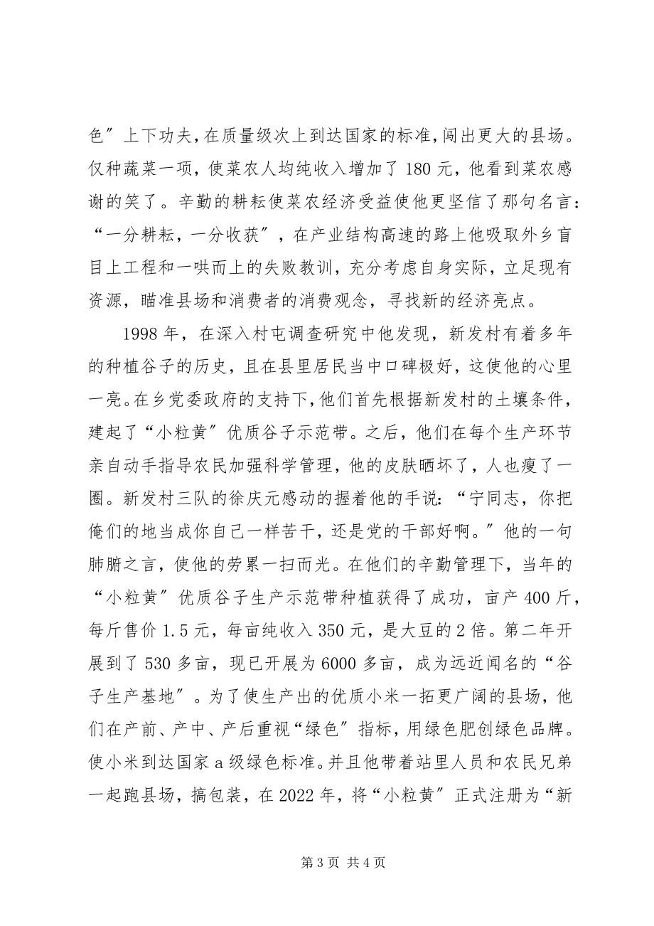 2023年乡镇农业综合站站长个人事迹材料.docx_第3页