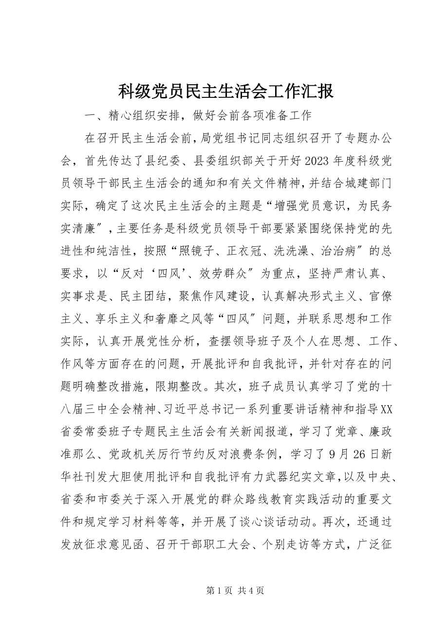 2023年科级党员民主生活会工作汇报.docx_第1页