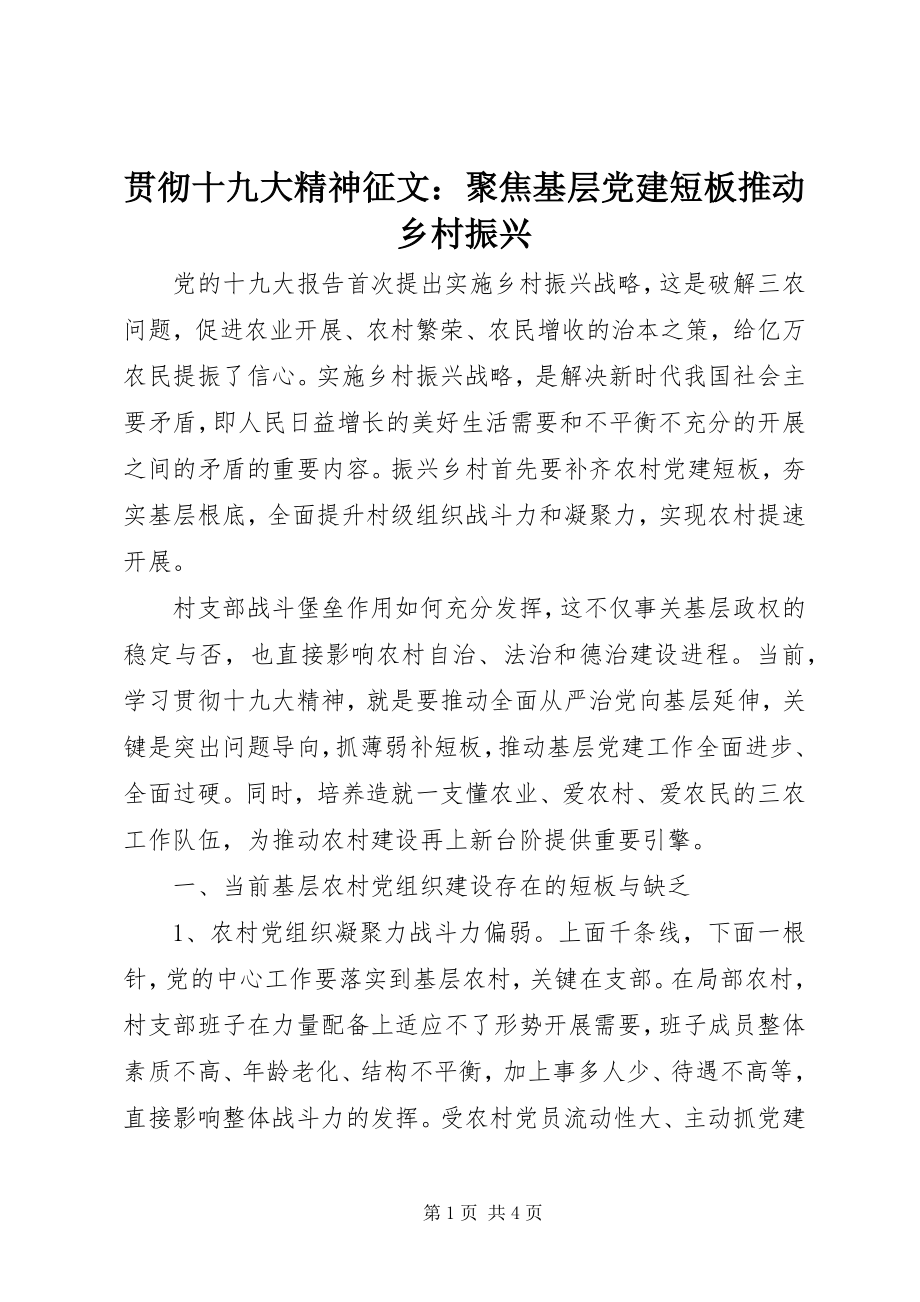 2023年贯彻十九大精神征文聚焦基层党建短板推动乡村振兴.docx_第1页