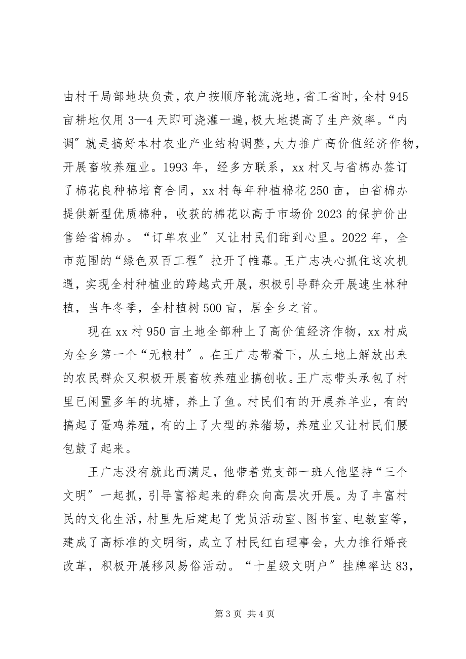 2023年乡镇村党支部先进事迹材料.docx_第3页