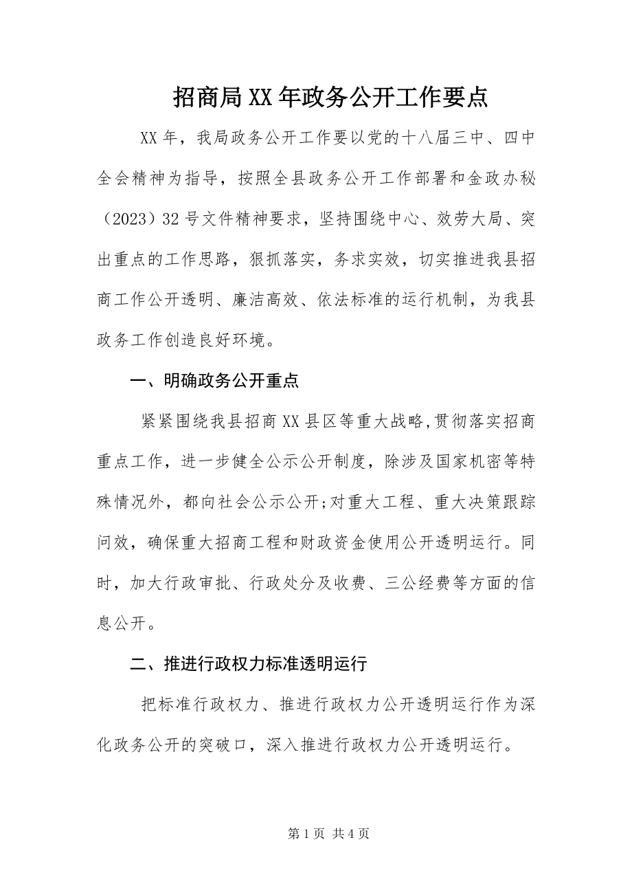 2023年招商局政务公开工作要点.docx_第1页