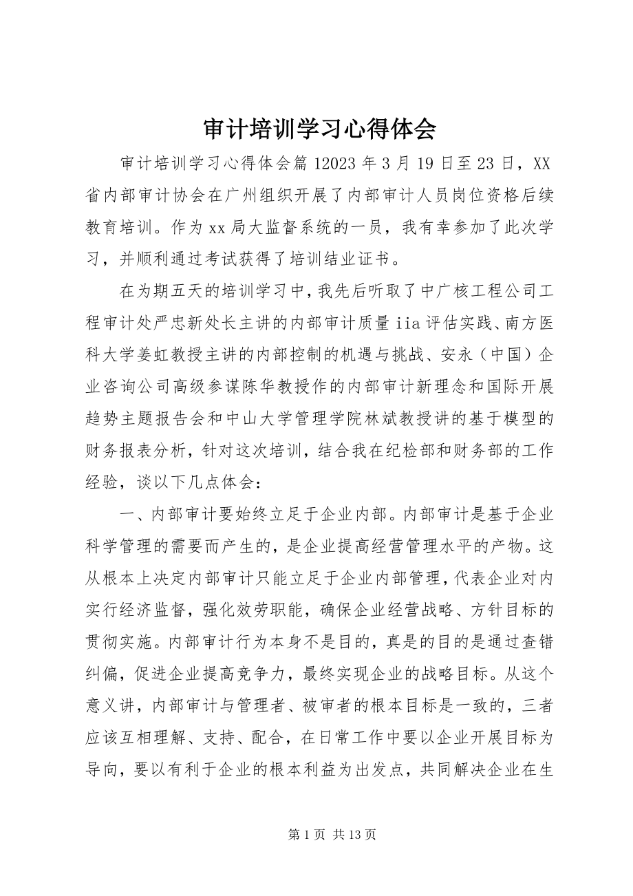 2023年审计培训学习心得体会.docx_第1页