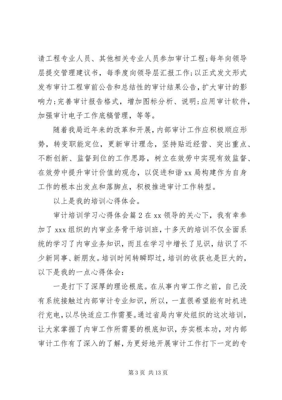 2023年审计培训学习心得体会.docx_第3页