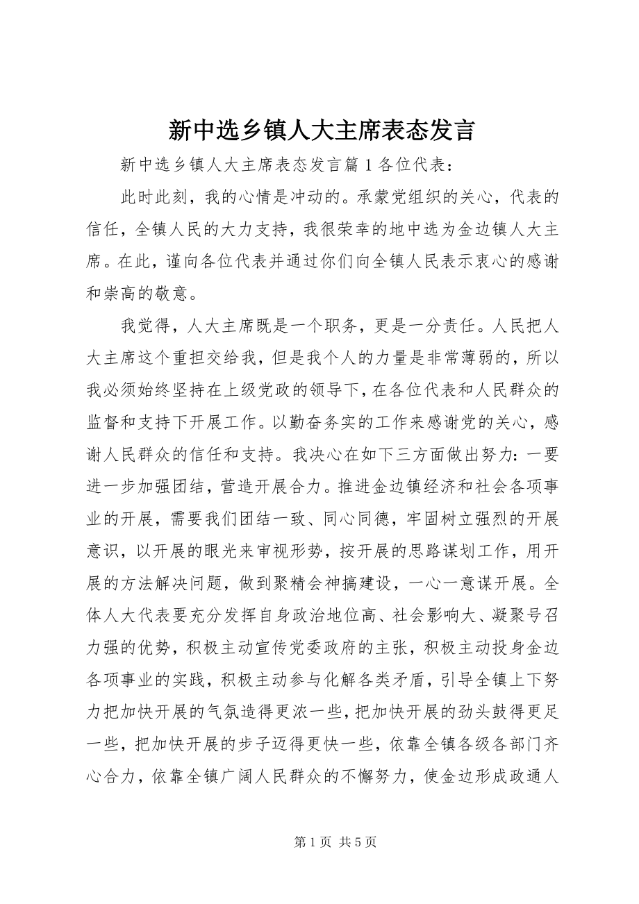 2023年新当选乡镇人大主席表态讲话.docx_第1页