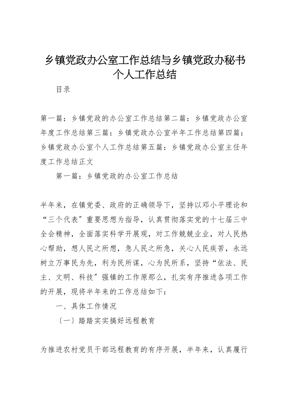 2023年乡镇党政办公室工作总结与乡镇党政办秘书个人工作总结.doc_第1页