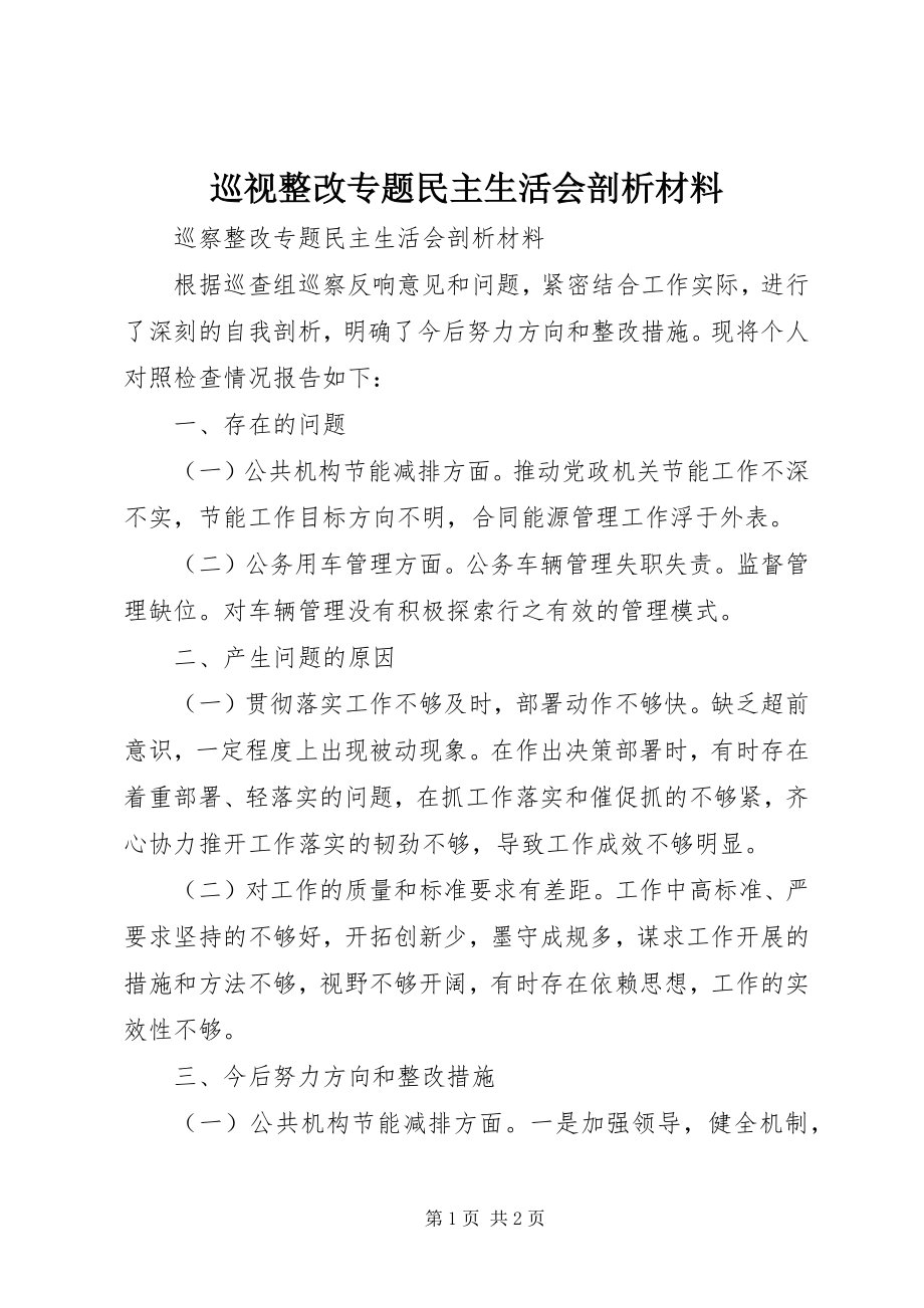 2023年巡视整改专题民主生活会剖析材料.docx_第1页