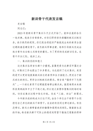 2023年新训骨干代表讲话稿.docx