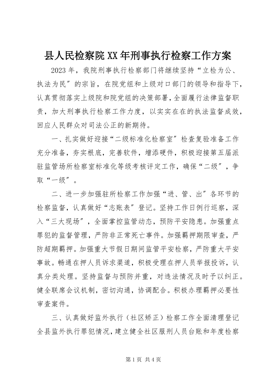 2023年县人民检察院刑事执行检察工作计划.docx_第1页