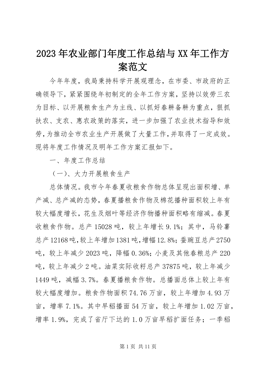 2023年农业部门度工作总结与工作计划.docx_第1页