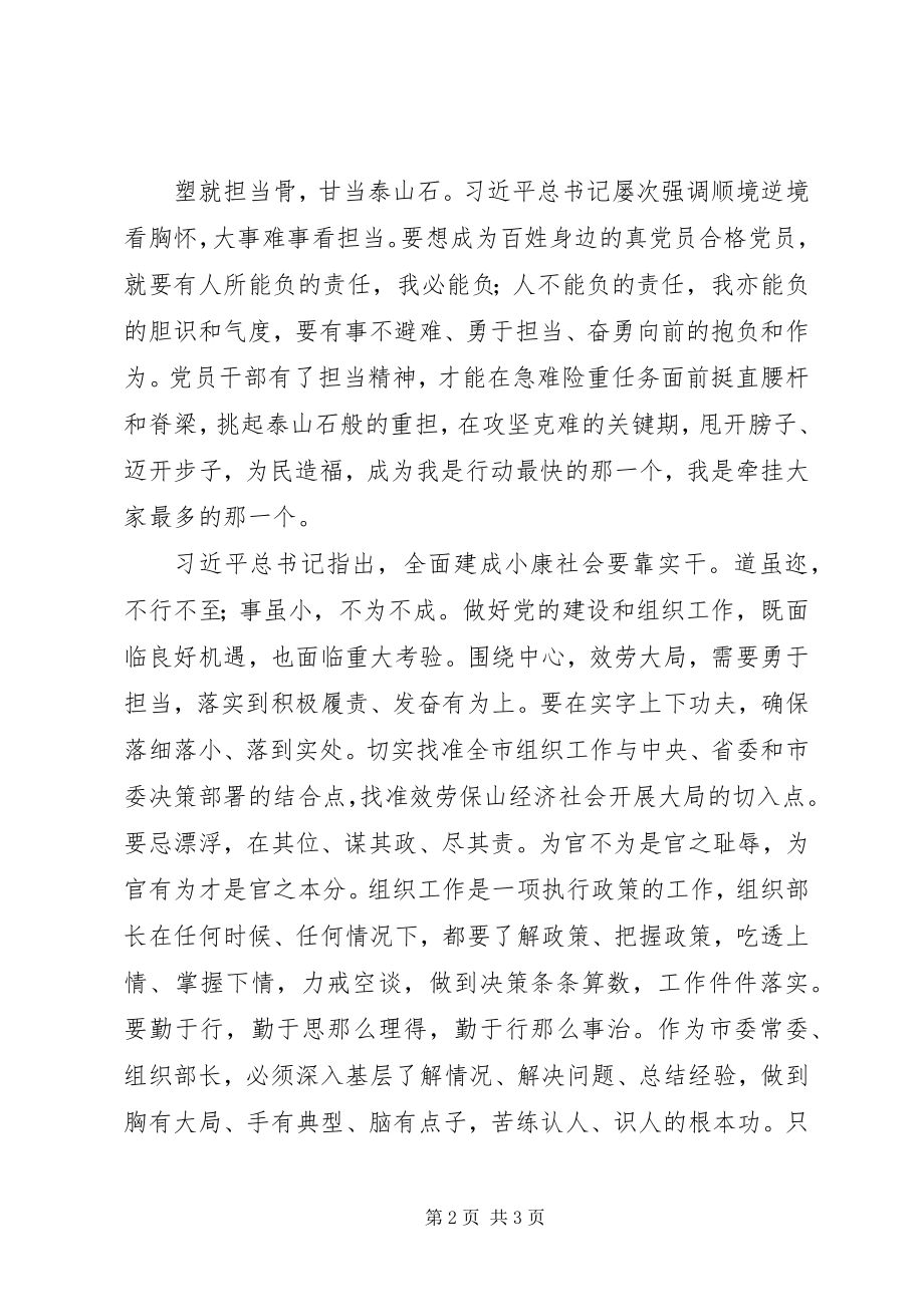 2023年做四讲四有合格党员主题征文合格党员当具三石精神.docx_第2页