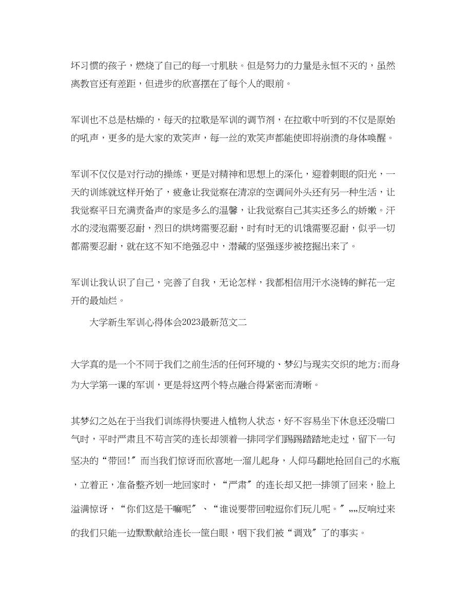 2023年大学新生军训心得体会范文3.docx_第2页