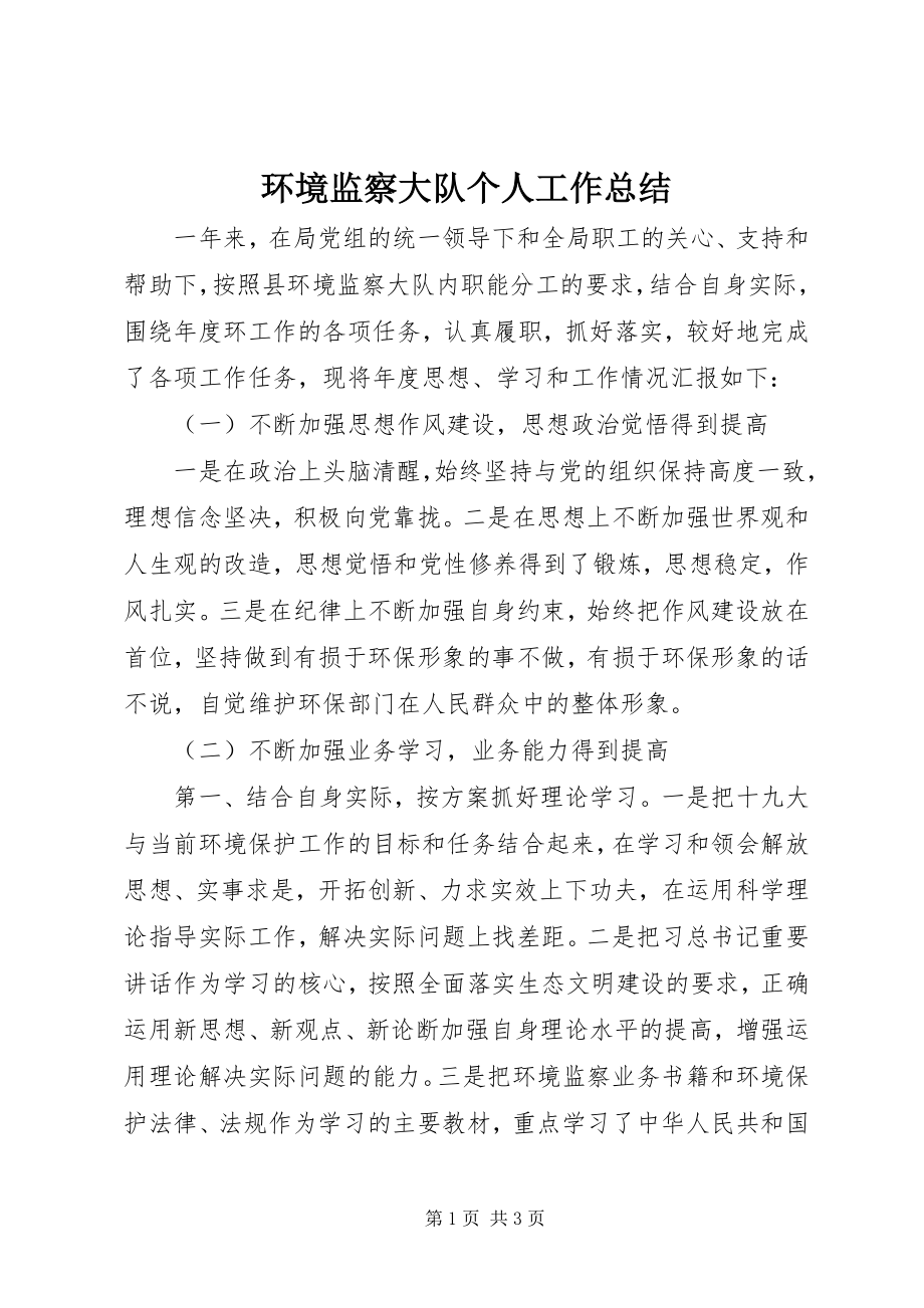 2023年环境监察大队个人工作总结.docx_第1页