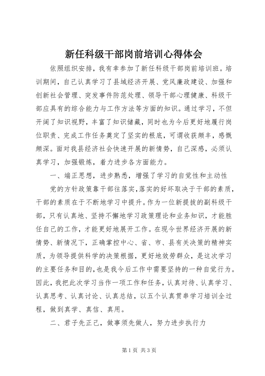 2023年新任科级干部岗前培训心得体会.docx_第1页