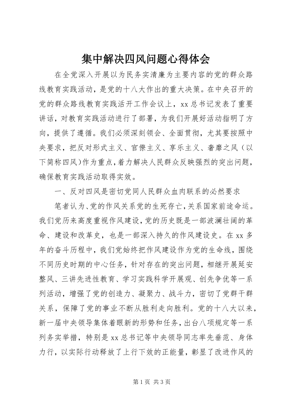 2023年集中解决四风问题心得体会.docx_第1页