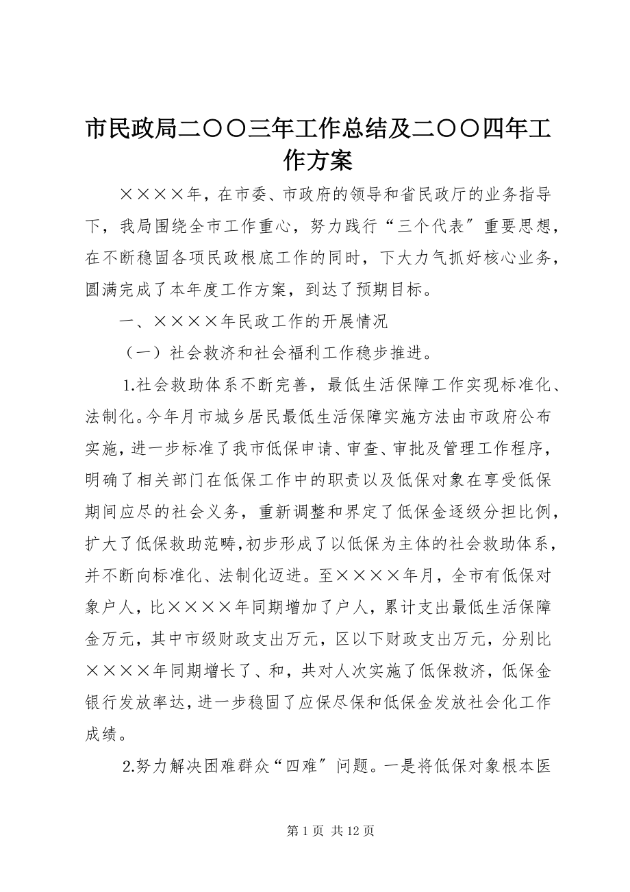 2023年市民政局二○○三年工作总结及二○○四年工作计划.docx_第1页