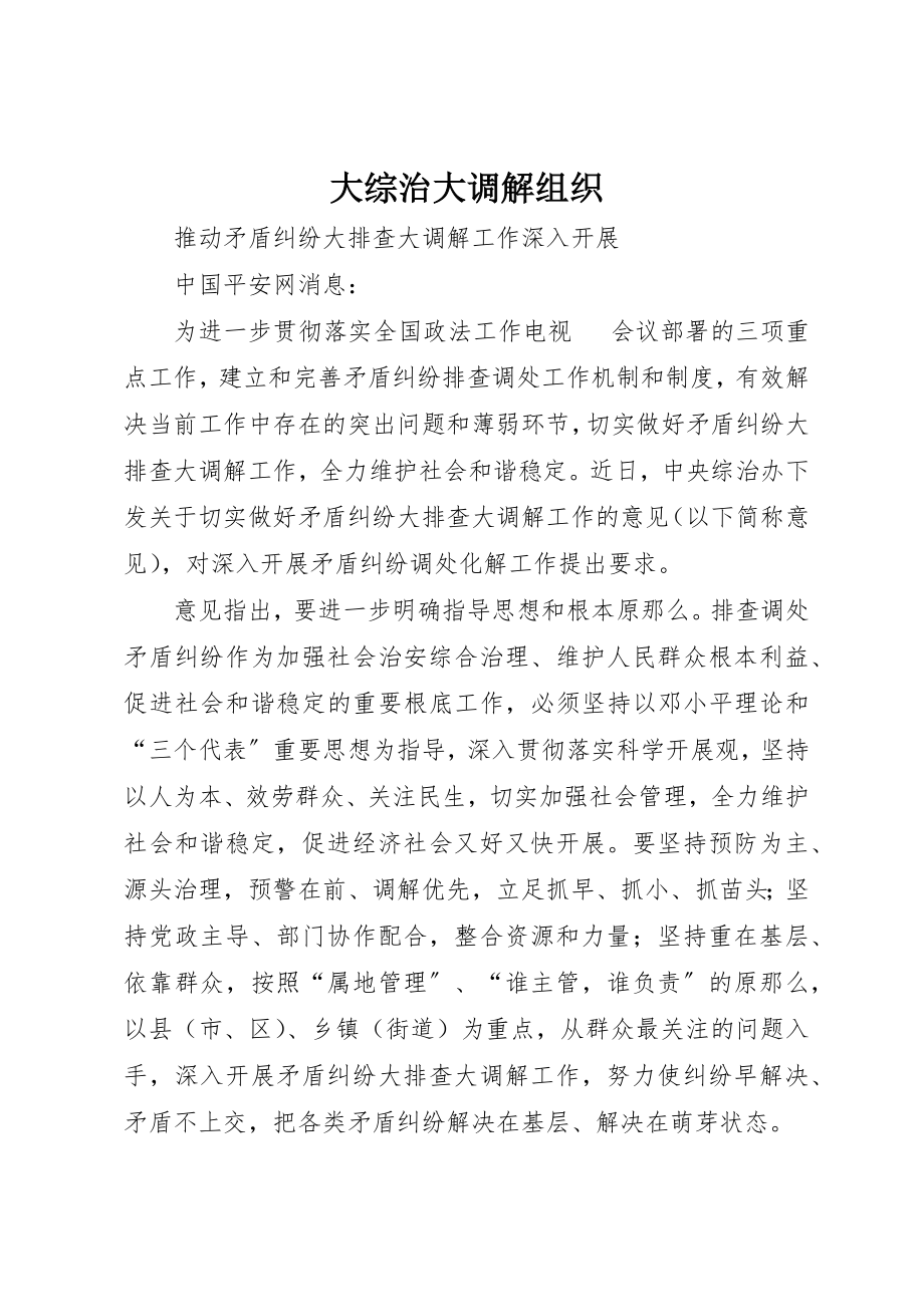 2023年大综治大调解组织新编.docx_第1页