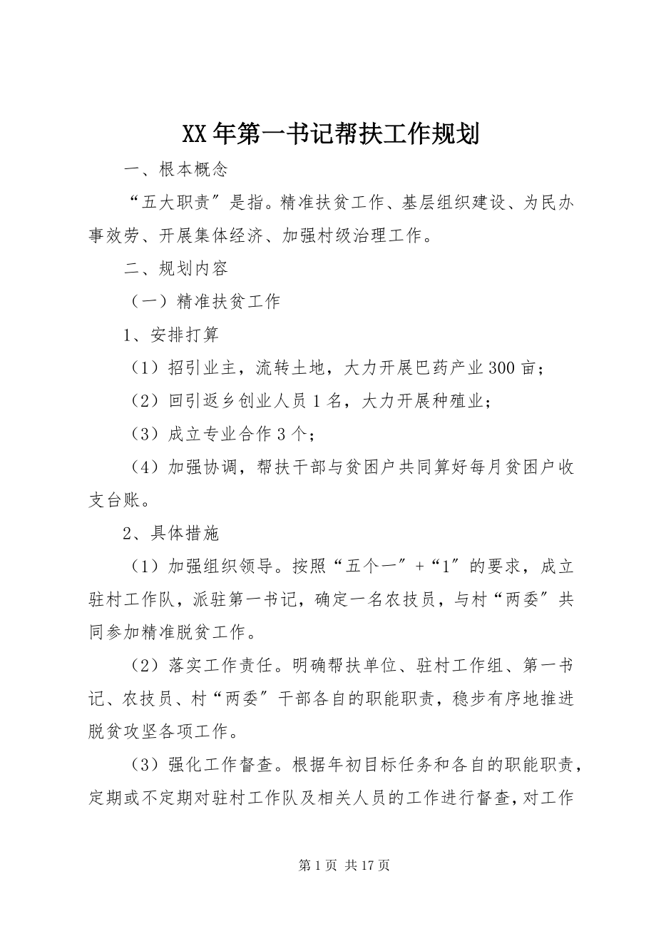 2023年第一书记帮扶工作规划.docx_第1页