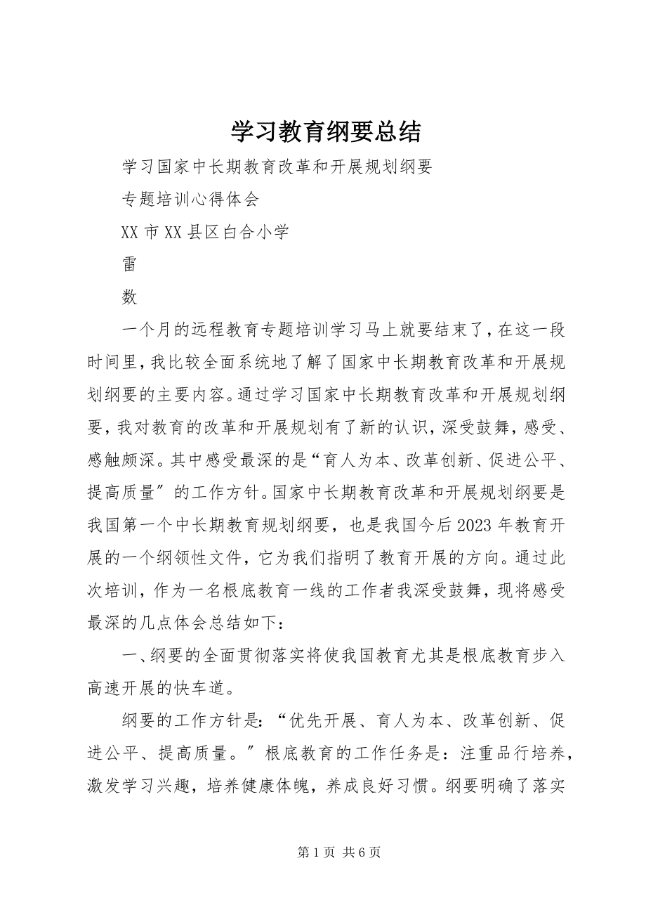 2023年学习教育纲要总结.docx_第1页