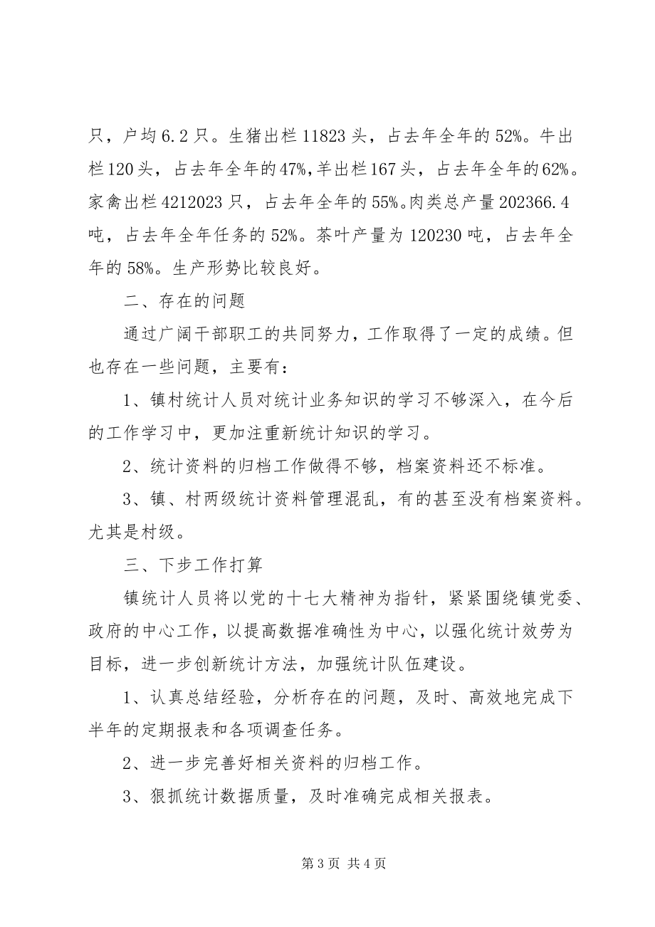 2023年乡镇统计站年度工作总结.docx_第3页