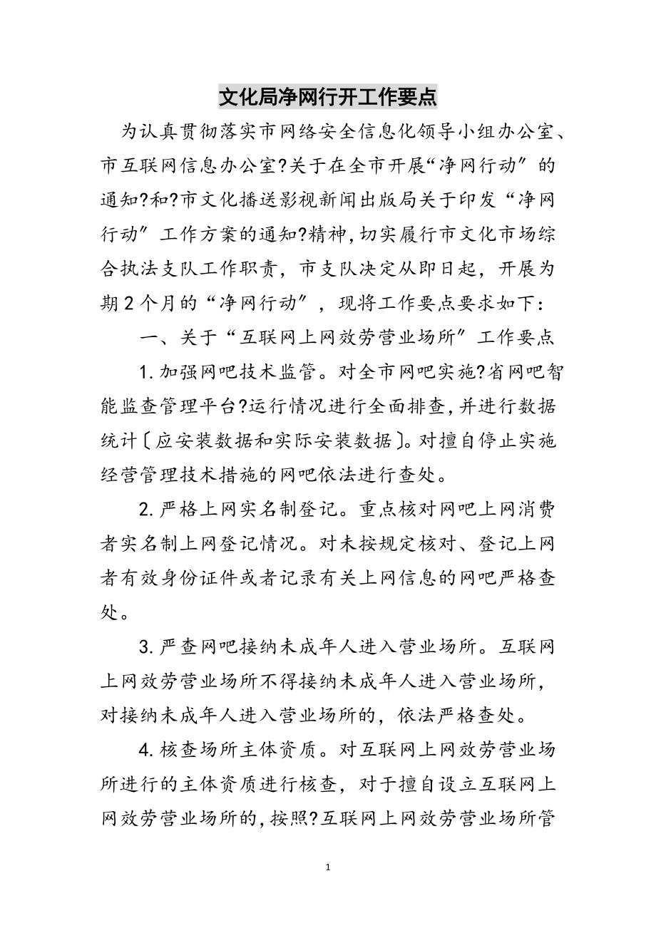 2023年文化局净网行动工作要点范文.doc_第1页