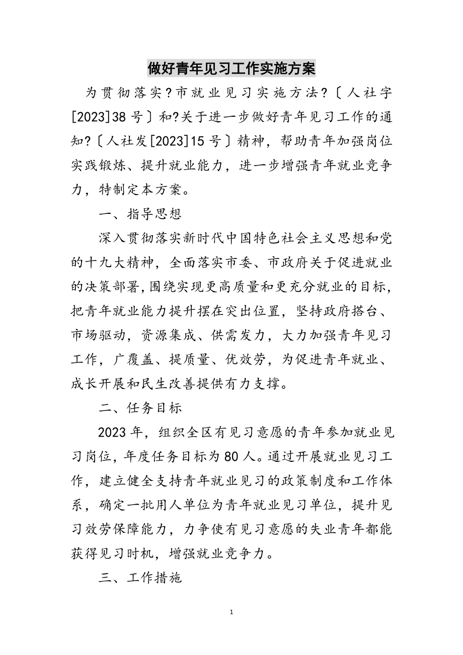 2023年做好青年见习工作实施方案范文.doc_第1页