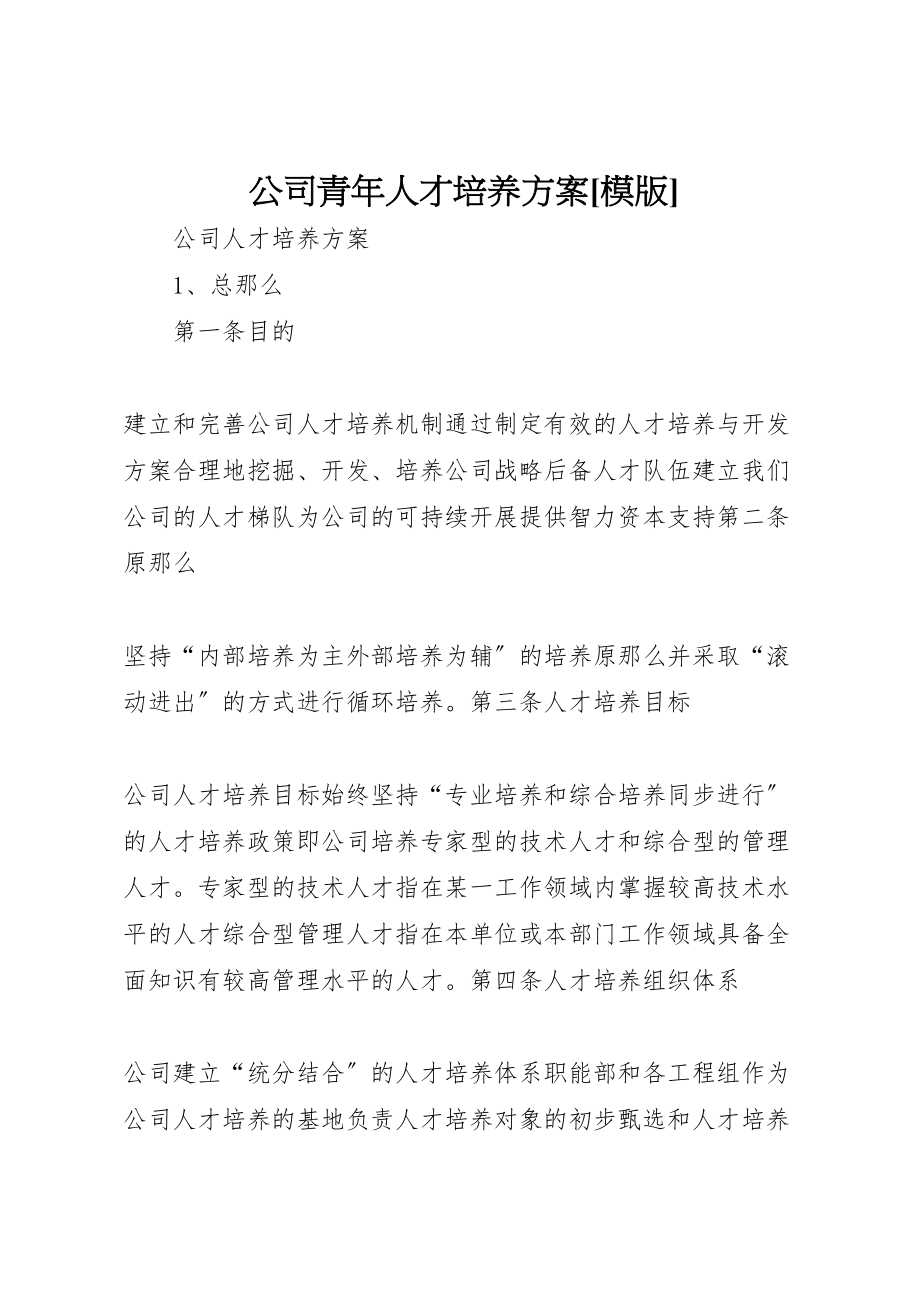 2023年公司青年人才培养方案模版 新编.doc_第1页