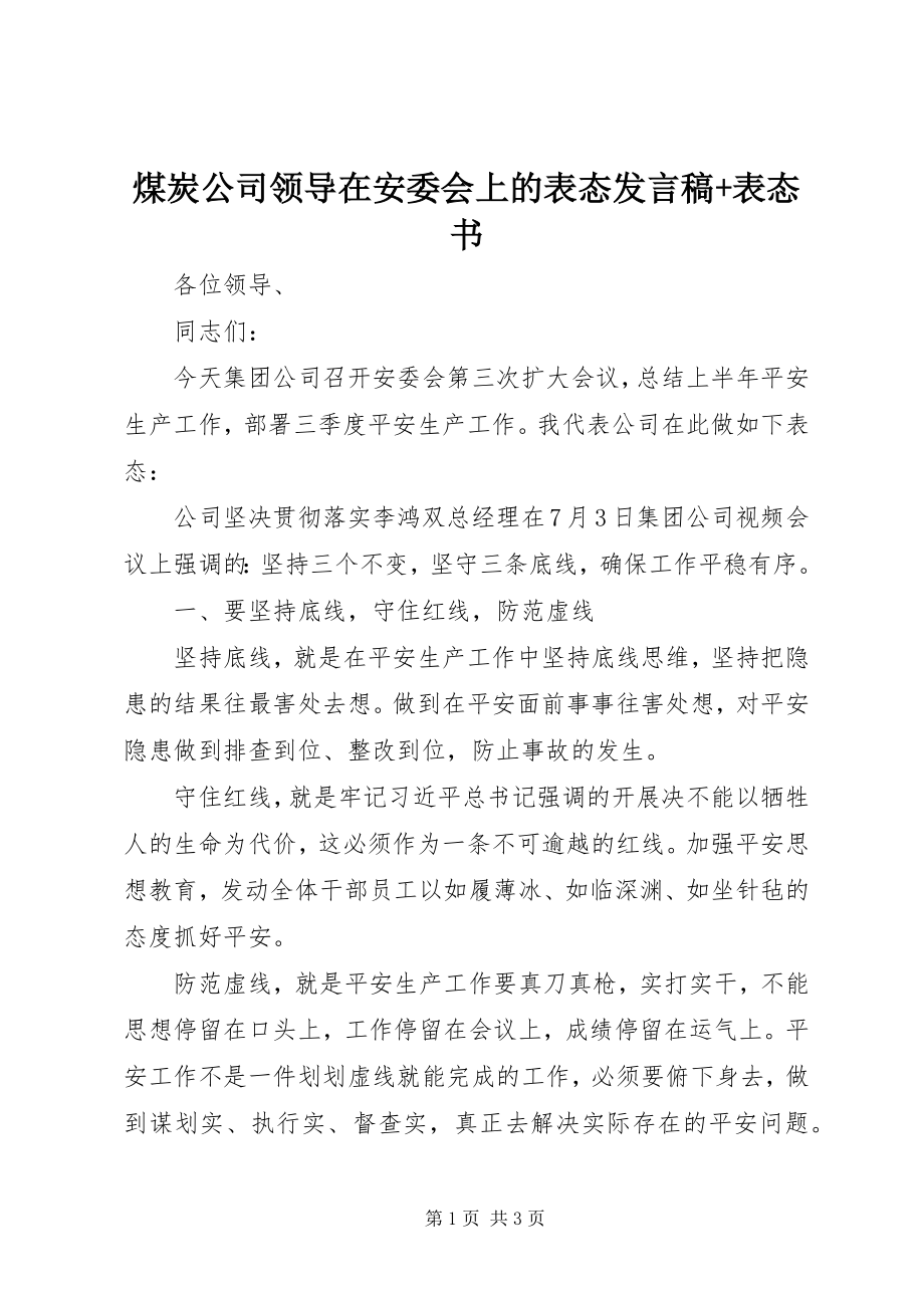 2023年煤炭公司领导在安委会上的表态讲话稿表态书.docx_第1页