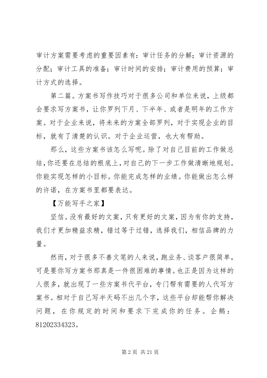 2023年企业内部审计计划书写作技巧.docx_第2页