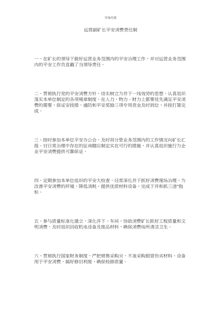 2023年经营副矿长安全生产责任制.docx_第1页