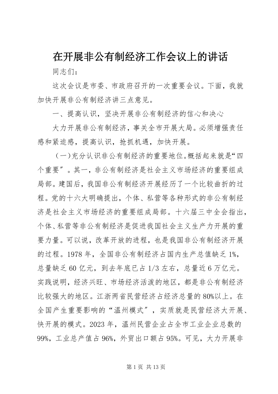 2023年在发展非公有制经济工作会议上的致辞.docx_第1页